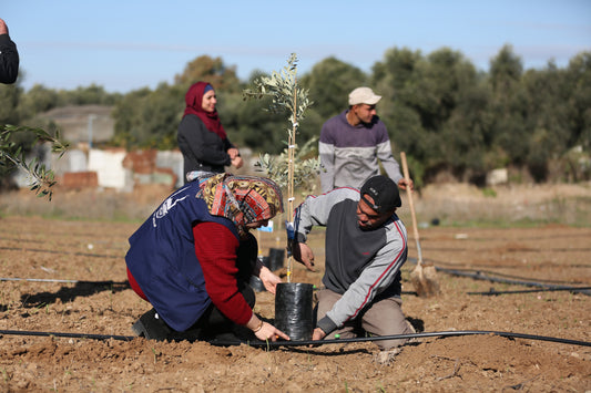 Palestinian Evacuee Business Directory Form